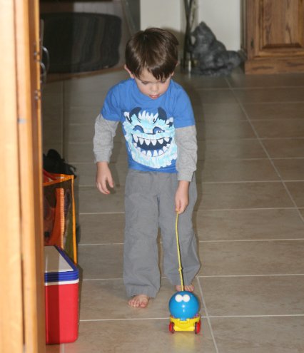 Nick and pull toy